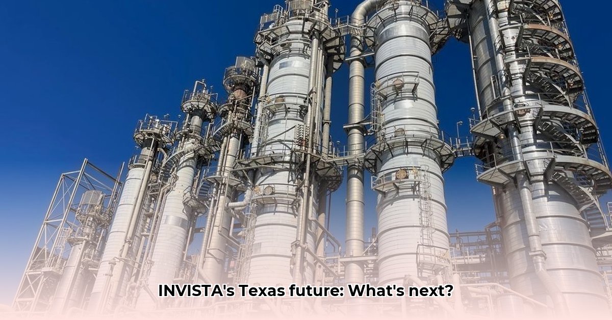 invista-in-orange-texas